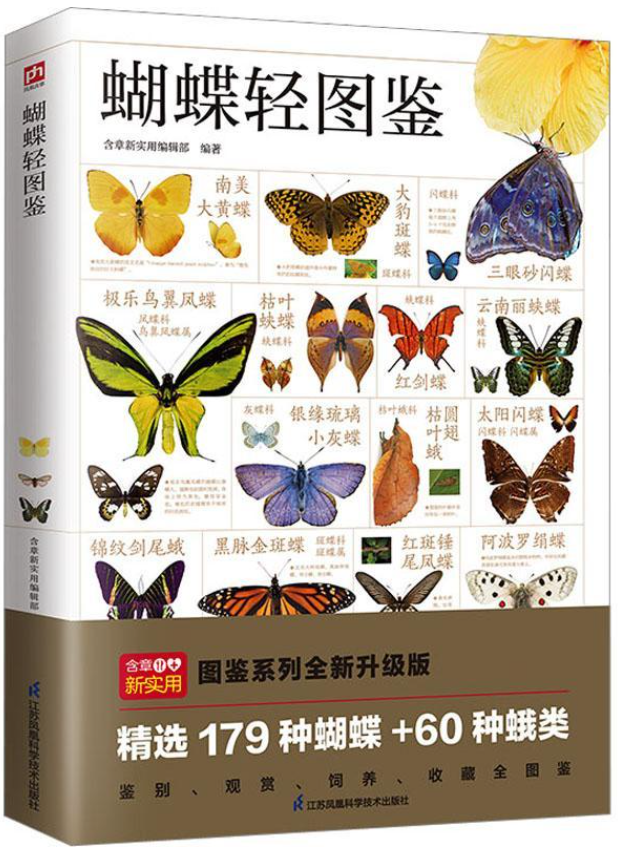 http://www.chstsg.com/uploads/images/20250925/20250925160810a7b901908.png
